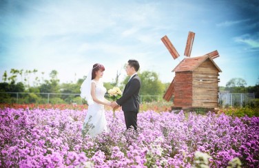 Giới trẻ “phát cuồng” khi chụp ảnh cưới tại thảo nguyên hoa giữa lòng Hà Nội