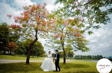 Sốt “xình xịch” với không gian lãng mạn khi chụp ảnh cưới tại Phan Đình Phùng