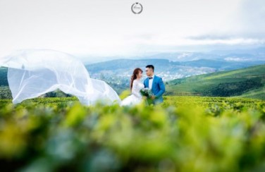 TOP 10 Những địa điểm chụp ảnh cưới ở Đà Lạt KHÔNG THỂ BỎ QUA